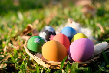 easter eggs in green grass