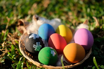 Happy Egg easter on grass