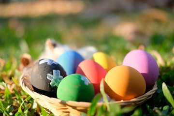 Happy Egg easter on grass