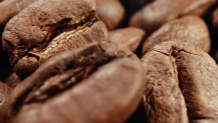 Coffee beans close-up