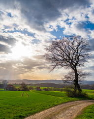 The ladscape in Germany in the sunlight