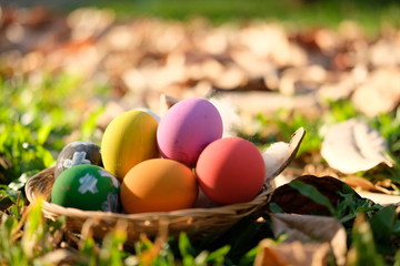 Easter egg on grass background