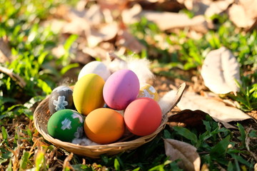 Easter egg on grass background