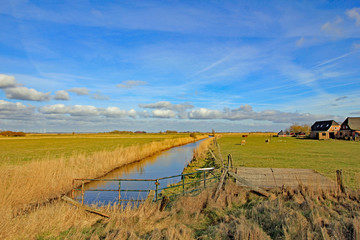 Marschlandschaft in Schleswig-Holstein (Hattstedtermarsch)