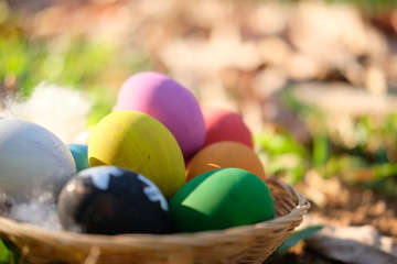 Obraz na płótnie Canvas Easter egg on grass background