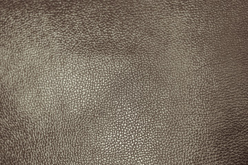 the texture of the skin © venerala