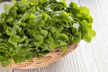 close up of green oak lettuce on basket