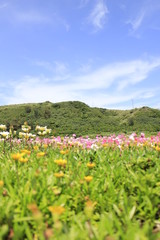 渡名喜島の風景