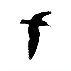 Flying Seagull Bird black silhouette isolated on white background