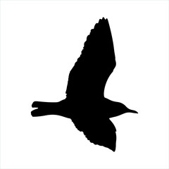 Flying Seagull Bird black silhouette isolated on white background