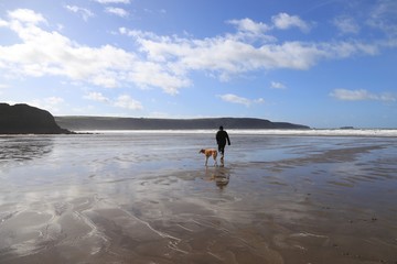 Man and Dog walking on Beach