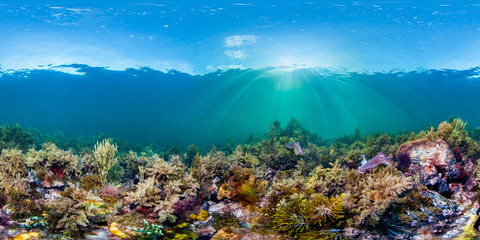 360-Grad-Foto des Korallenriffs unter Wasser