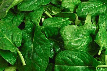 Fresh spinach leaves as background.