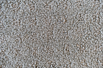grey carpet texture