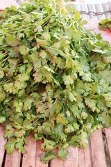 Fresh coriander for cooking in the market