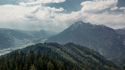 conifer forest on hilltop of the mountain