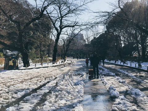 Ueno Park Streets Winter Snow