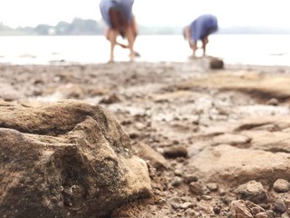 Rocks on the beach with children playing in the background  