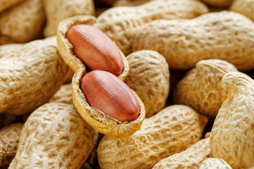 Large peeled peanuts close-up of beans in the shell. Unpeeled peanuts in the shell. Peanuts, for...