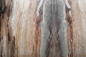 Natural marble texture (Cappuccino Marble) for background. Natural patterns for design.