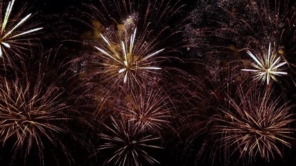 Colorful fireworks exploding in the night sky. Celebrations and events in bright colors.