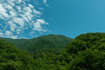Mountains covered with thick green forest against a blue sky. nature, landscape.