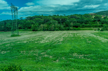 Italy,Florence to Pisa Train, a close up of a lush green field