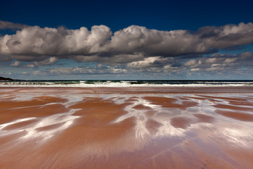 Signs of high tide on a sandy beach