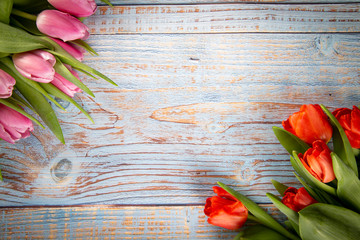 Wiosenne tulipany  na drewnianym tle - obrazy, fototapety, plakaty