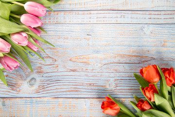 Fototapeta Kolorowe tulipany  na drewnianym tle obraz