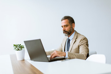 Mature businessman in classic suit  using a laptop while working in his office