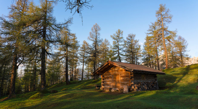 Ferienhaus in L&auml;rchenwald bei aufgehender Sonne