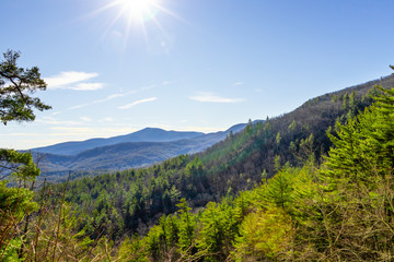 view of mountains in forest