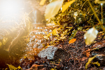 rock in flowing water 