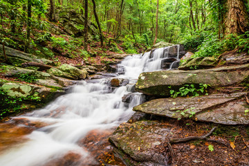 waterfall in the forest