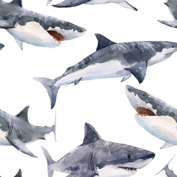 Watercolor Shark Vector Pattern