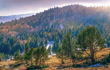Parc naturel régional des Pyrénées Catalane depuis le Col de Jau,Occitanie.