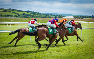 Fototapeta na wymiar Race horses sprinting towards the finish line .