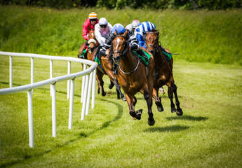 Horse racing action on the track