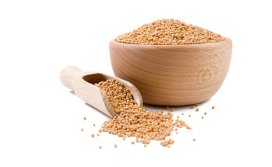 white mustard in wooden bowl and scoop isolated on white background. Spices and food ingredients.