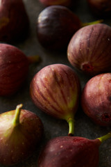Fresh fig fruit