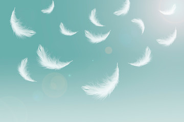 White feathers falling in the air.