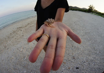 woman puts hermit crabs in hand