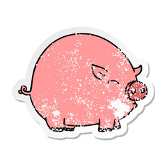 distressed sticker of a quirky hand drawn cartoon pig