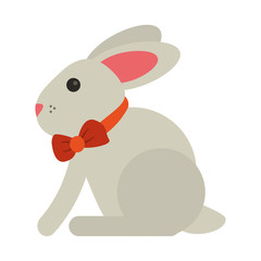 Cute rabbit cartoon