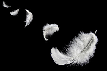 White feathers flying in the dark.