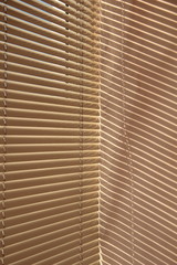 blinds and shade of them