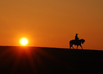 Fototapeta na wymiar Cowboy riding horse in the sunset