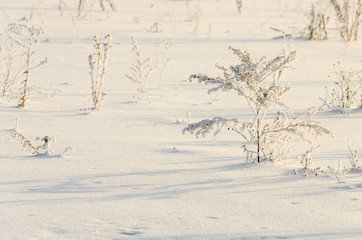 winter landscape with frozen grass and snow