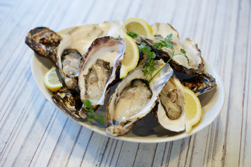 牡蠣　カキ　OYSTER